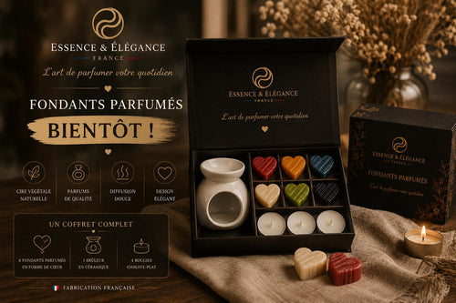 COFFRET DECOUVERTE FONDANT ET SON BRULEUR - Essence & Elegance